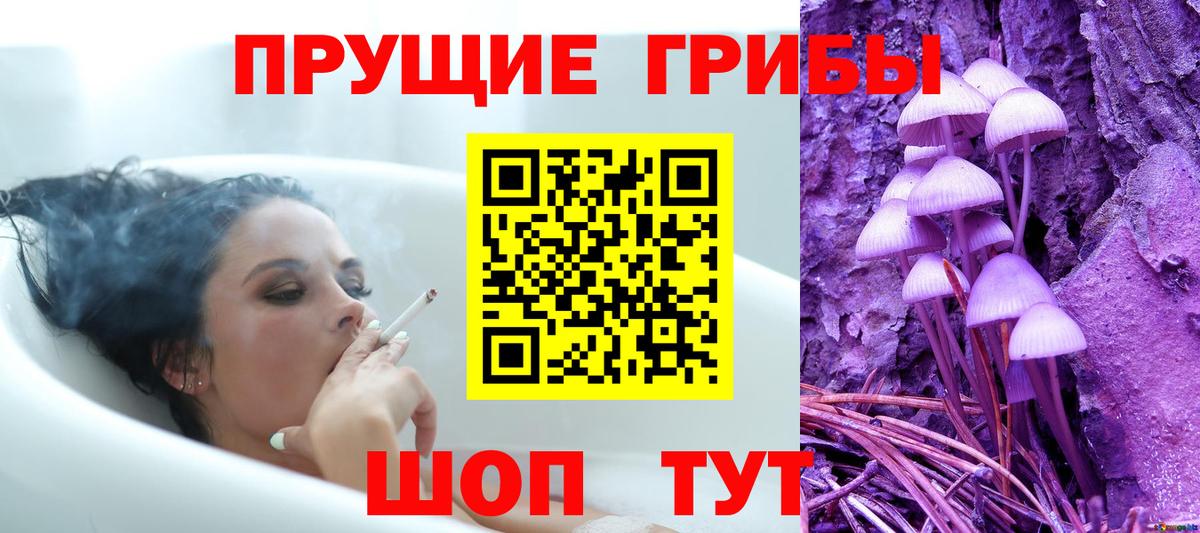 Урай  Псилоцибиновые грибы прущие грибы  Галлюциногенные грибы Psilocybe  Вход с VPN 