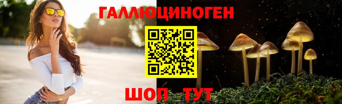 Псилоцибиновые грибы Cubensis Урай